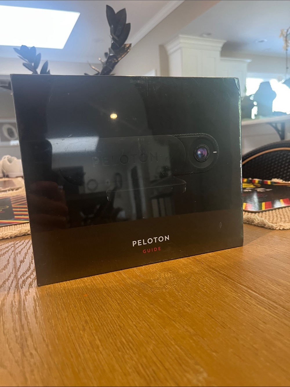 Peloton Guide Camera - Black and Red Accent